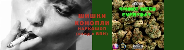 стафф Армянск