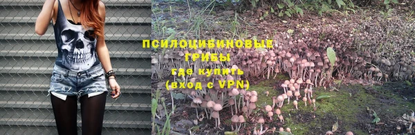 стафф Армянск